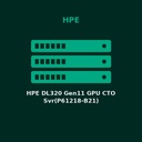 HPE DL320 Gen11 GPU CTO Svr(P61218-B21)
